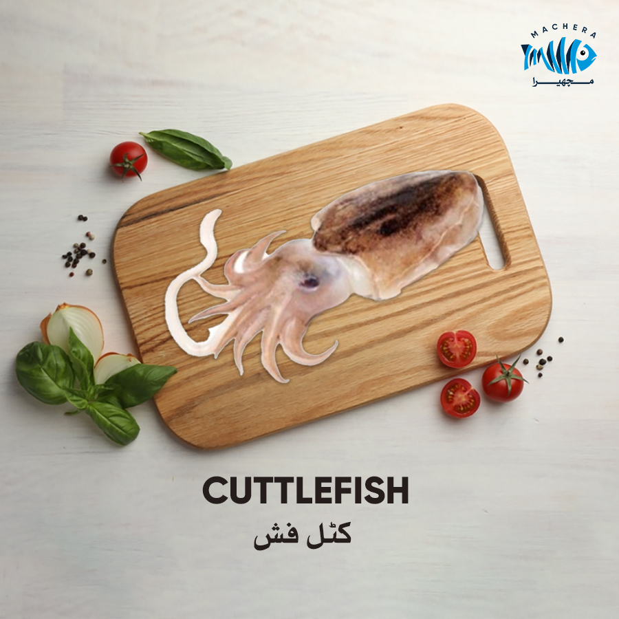 Cuttlefish