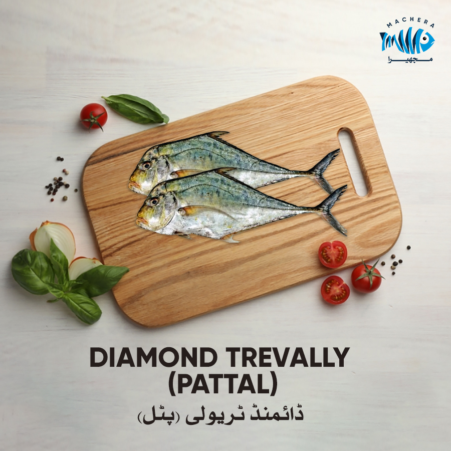 Diamond Trevally (Pattal)