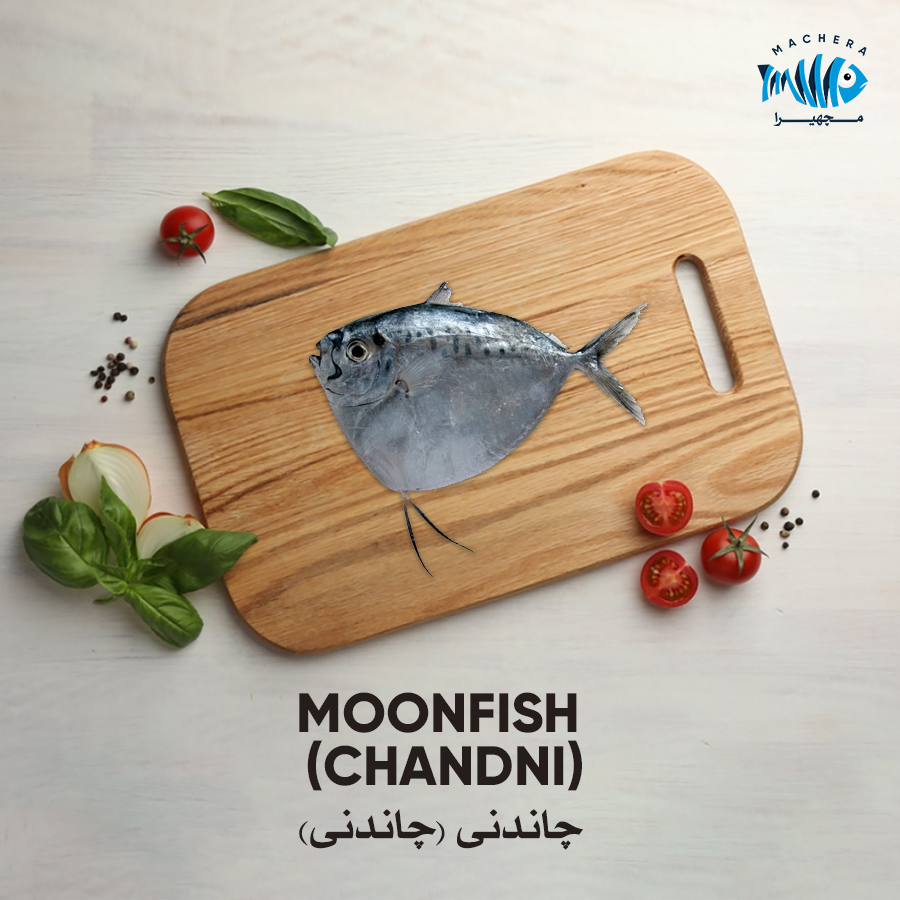 Moonfish (Chandni)