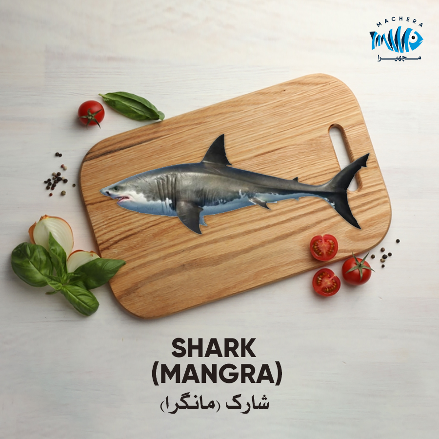 Shark (Mangra)