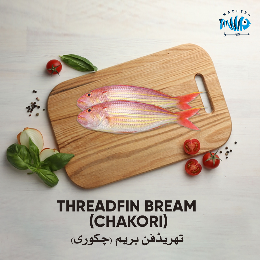 Threadfin Bream (Chakori)