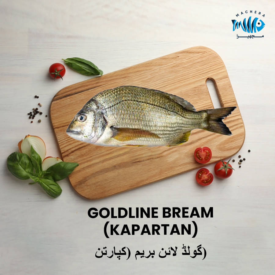 GOLDLINE BREAM
