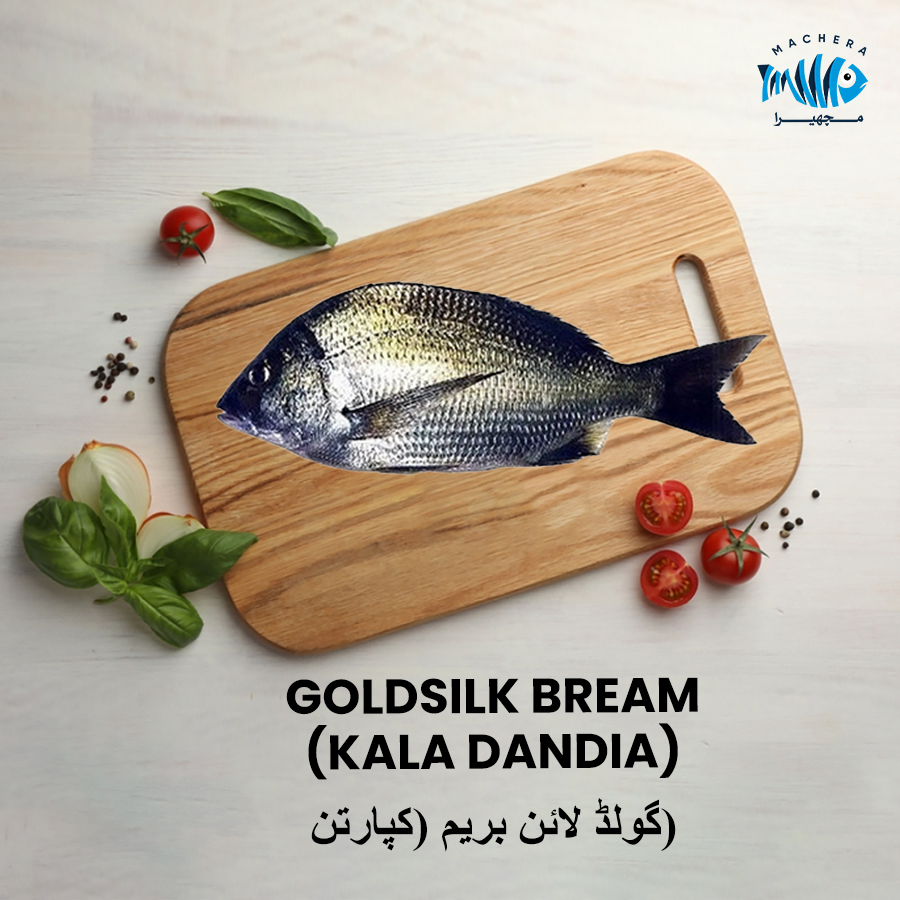 GOLDSILK BREAM