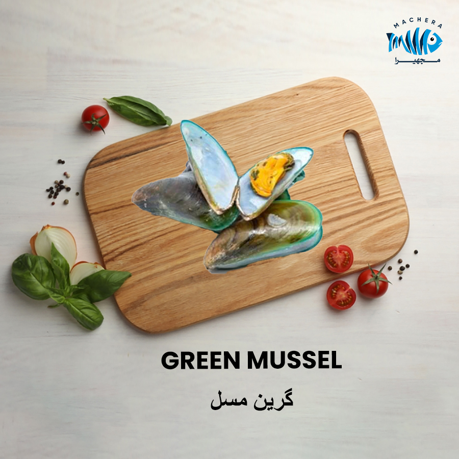 GREEN MUSSEL