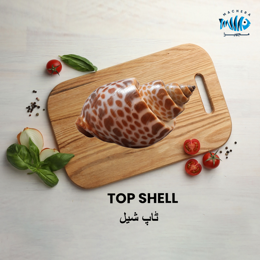 top shell
